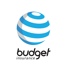 Budget Insurance logo